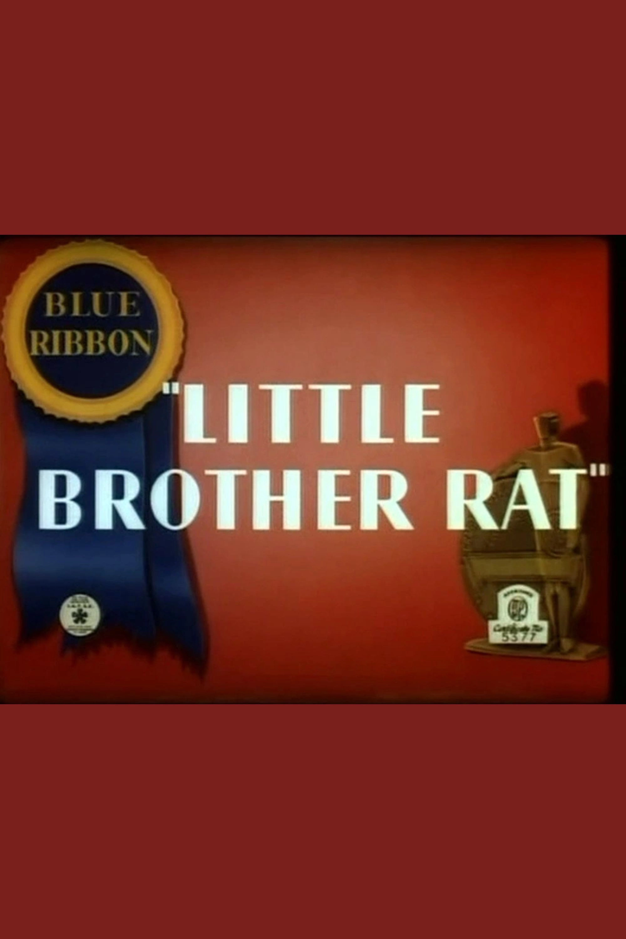 Little Brother Rat