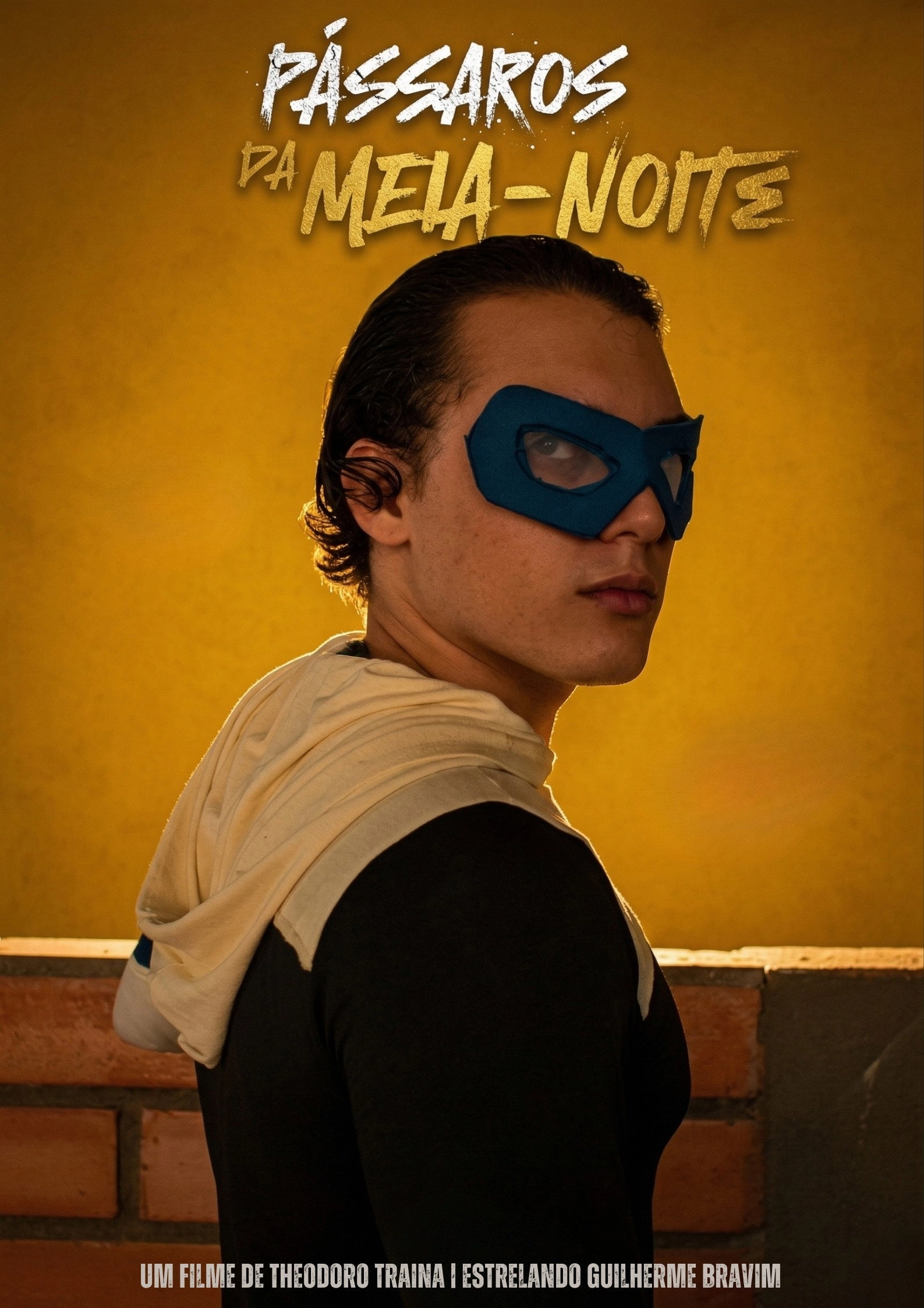 Pássaros da Meia noite