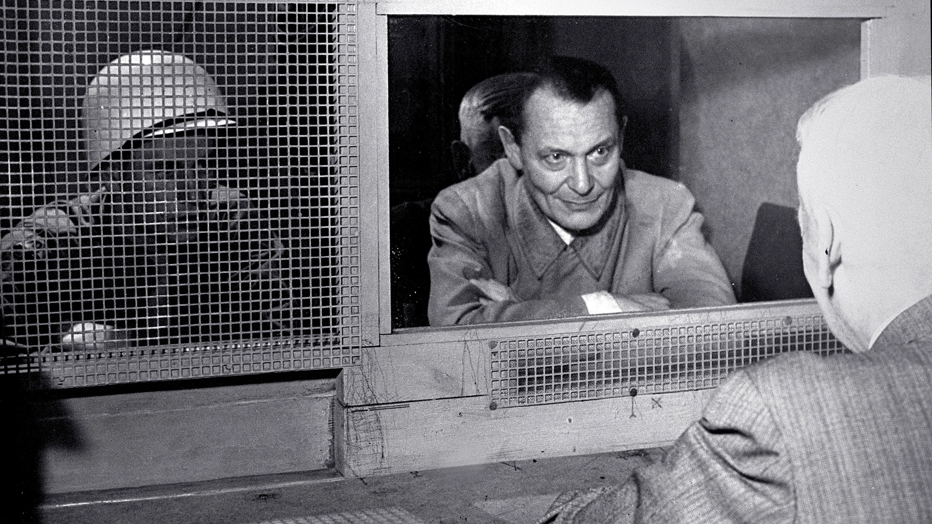 Nazis at Nuremberg: The Lost Testimony
