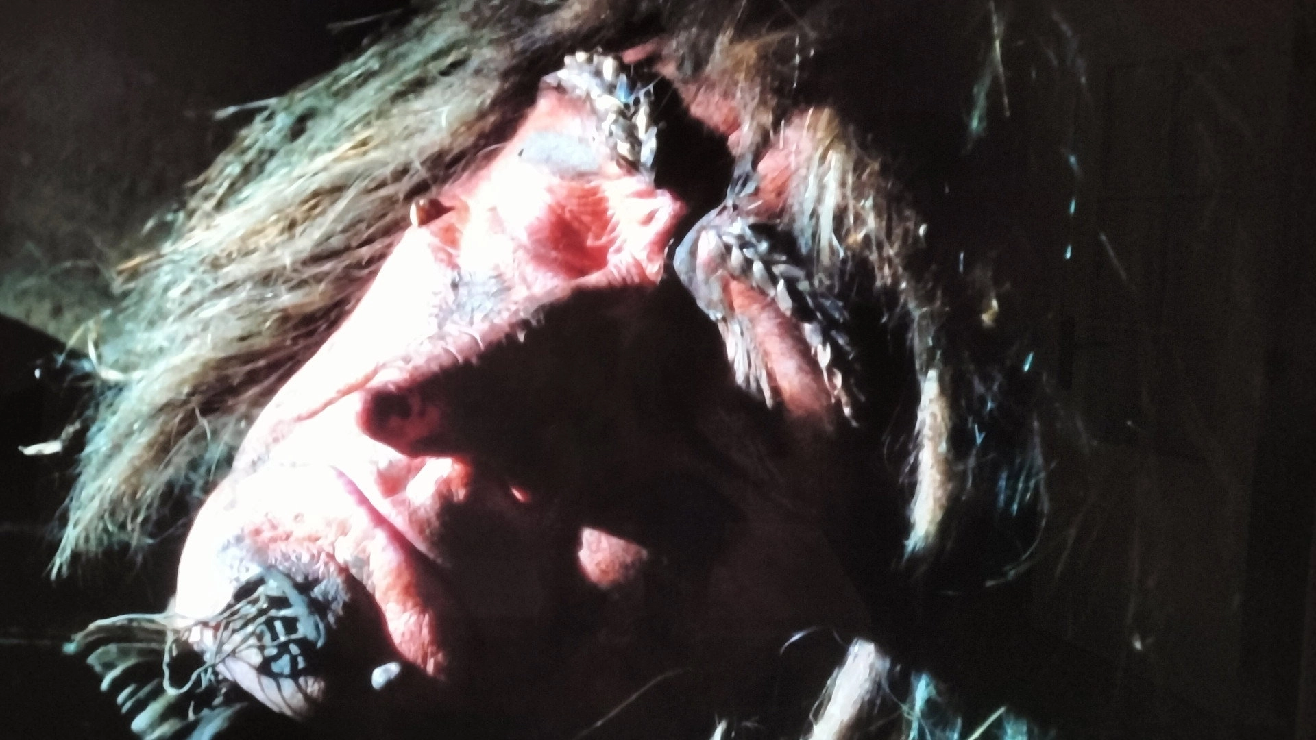 Worzel Gummidge Down Under