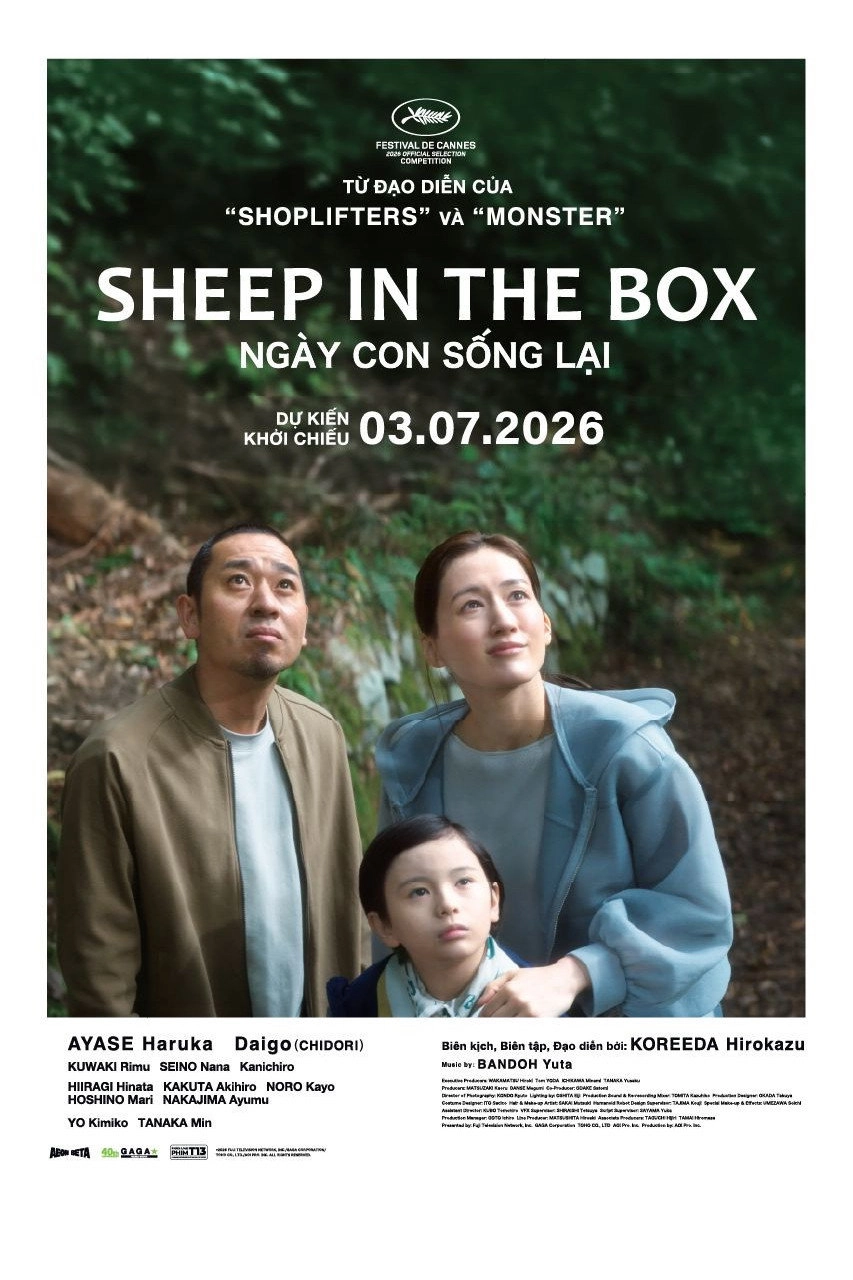 Sheep in the Box