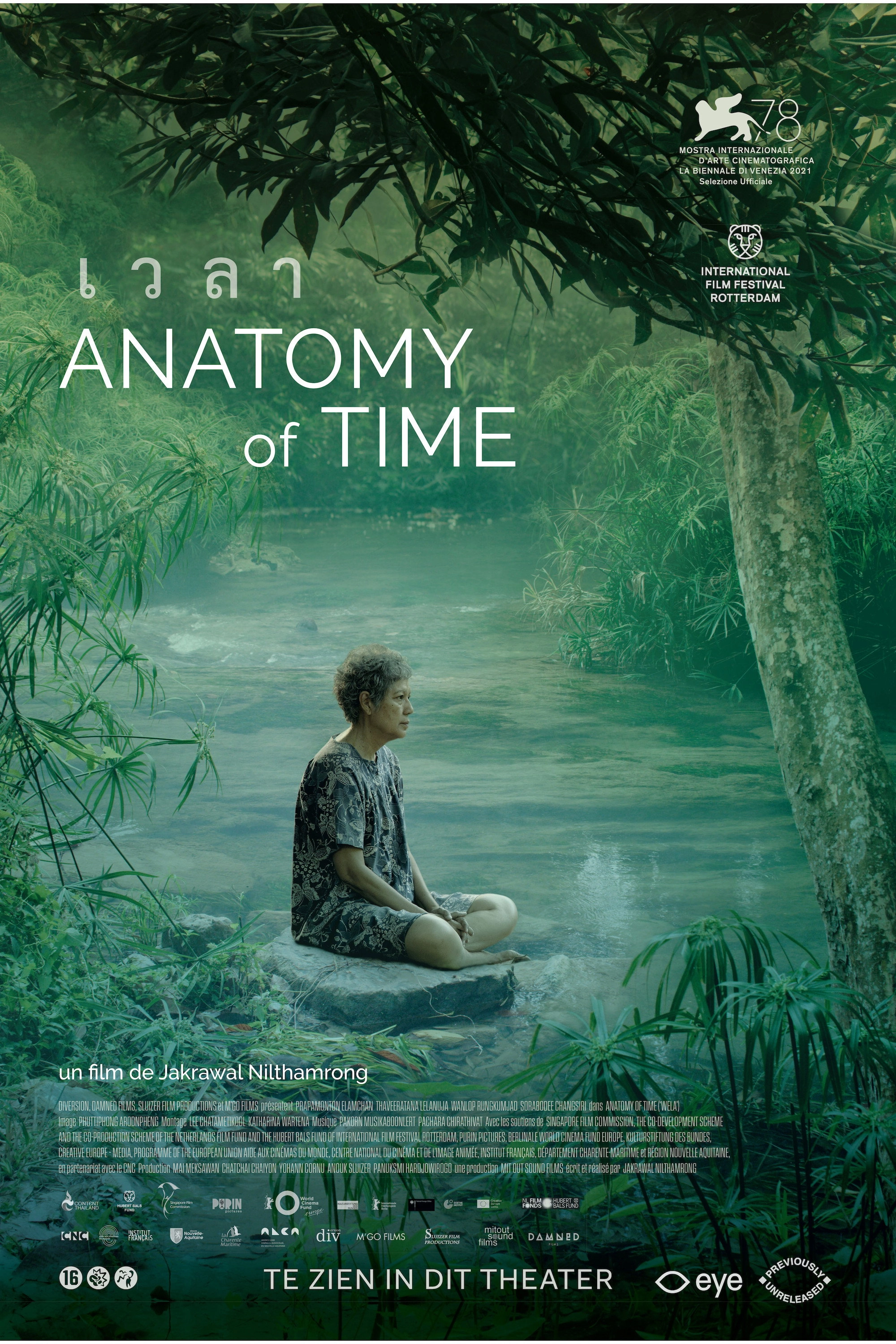 Anatomy of Time