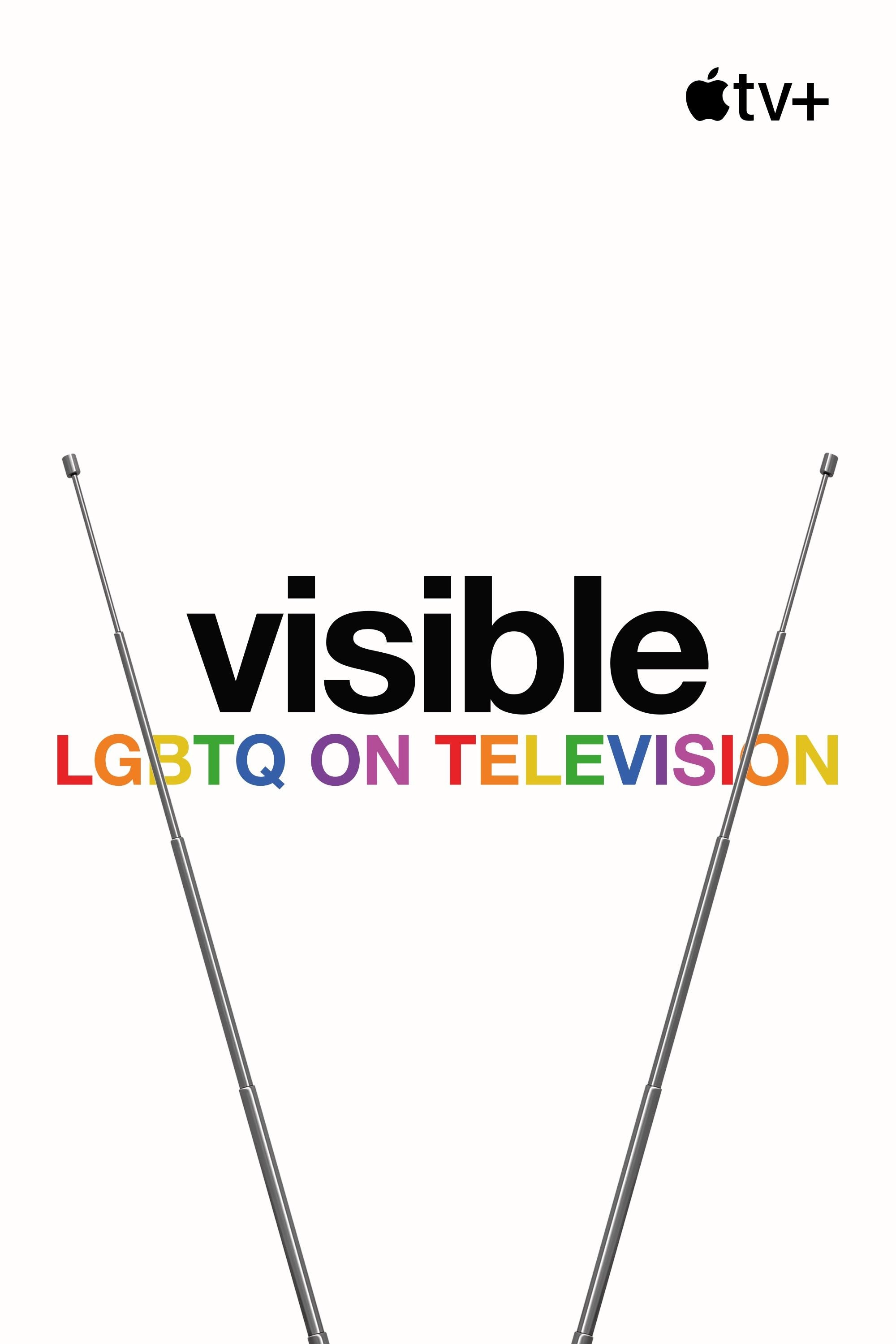 Visible: Out on Television