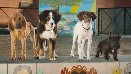 Super PupZ
