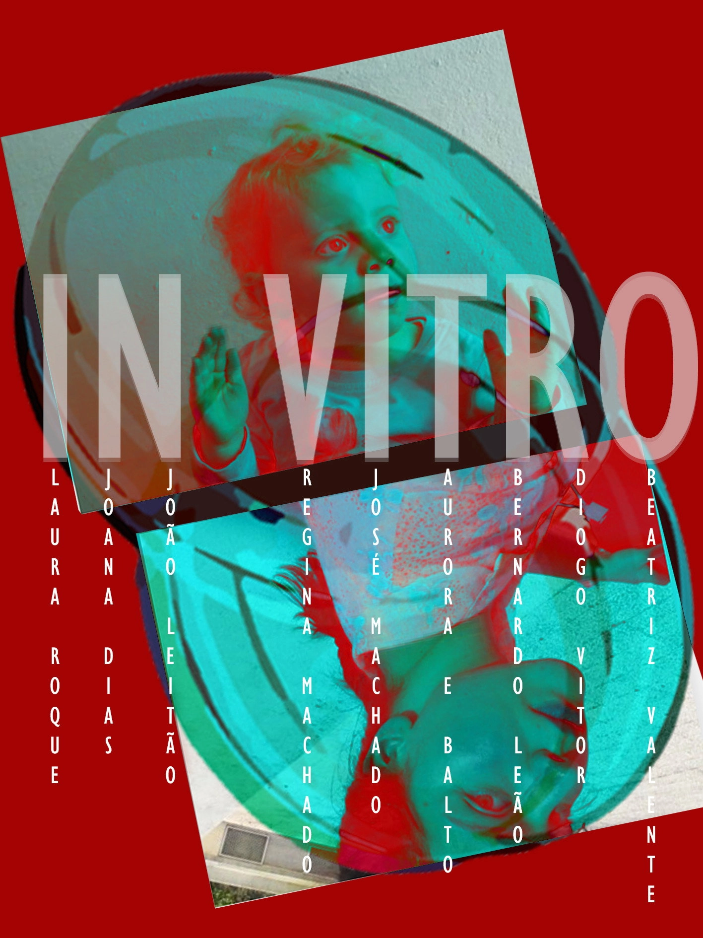 IN VITRO