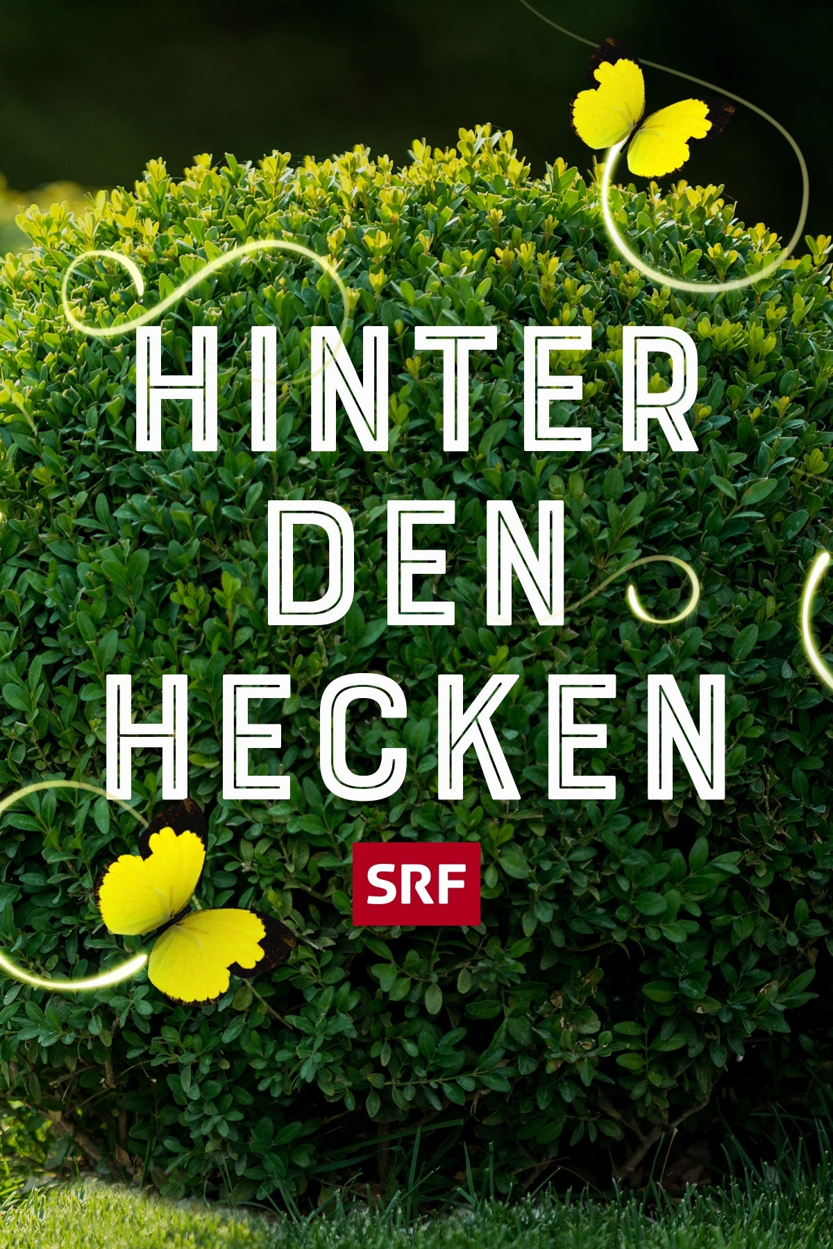 Hinter den Hecken