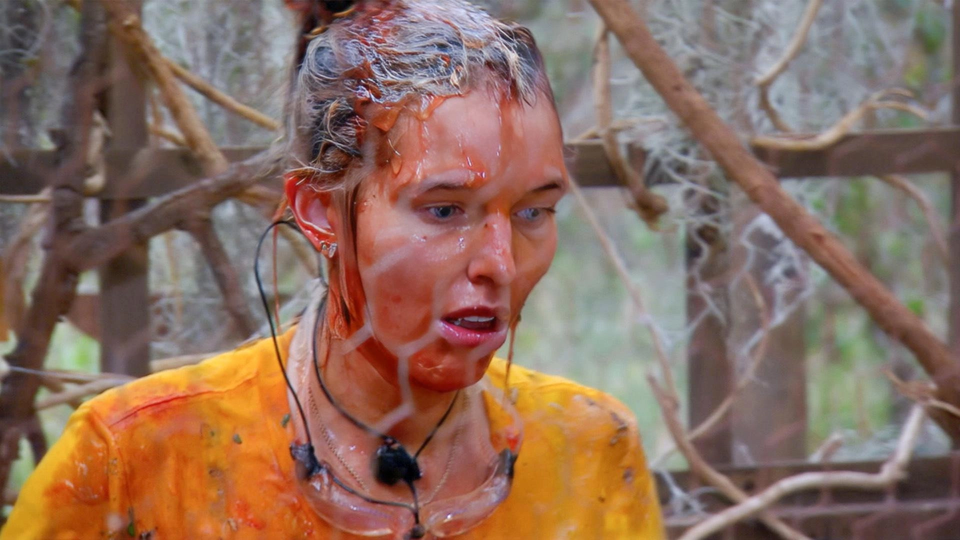 I'm a Celebrity... South Africa