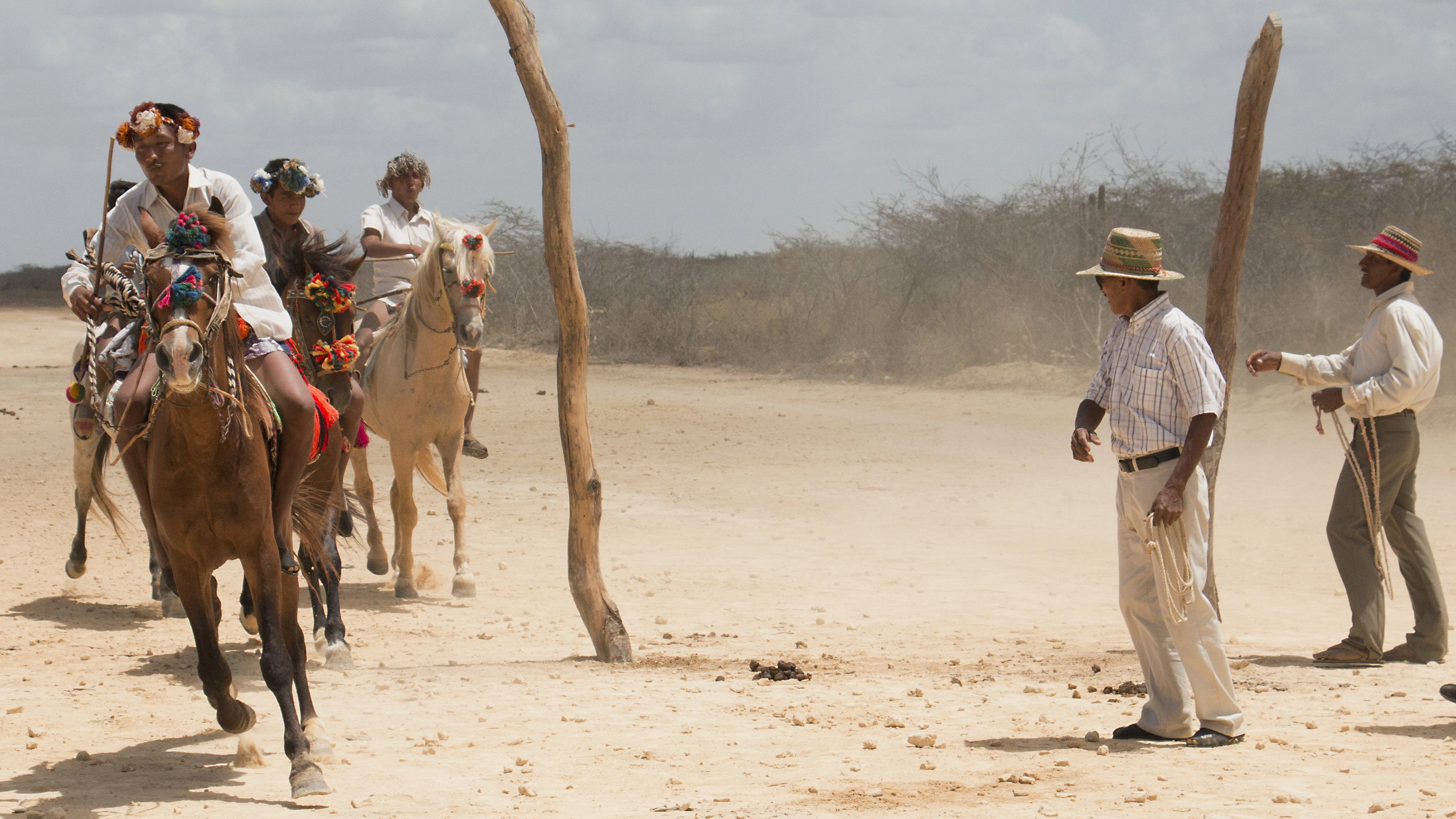 Birds of Passage