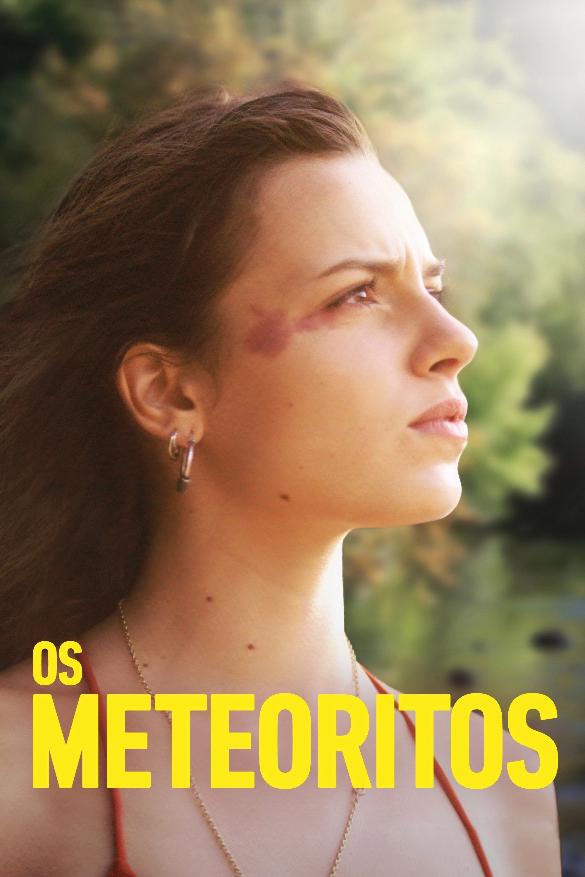 Meteorites