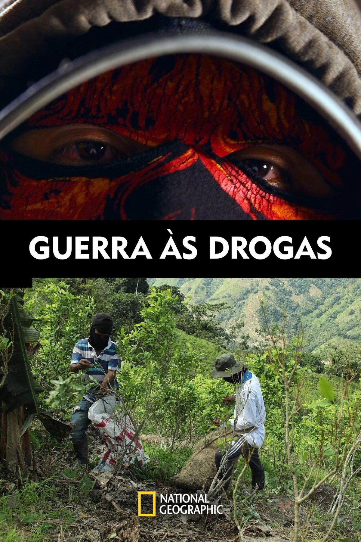 Narco Wars