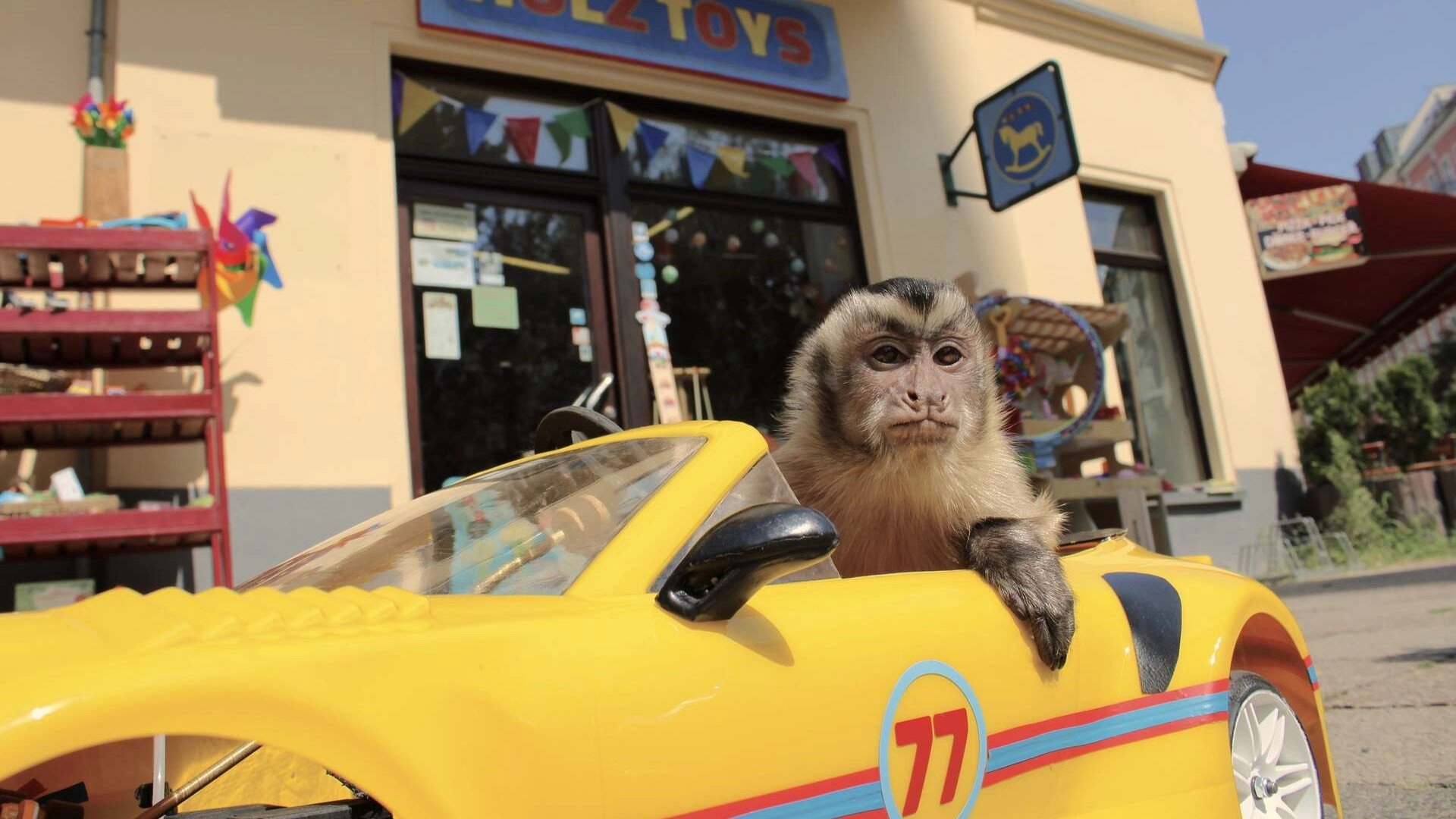 Akiko, the Flying Monkey
