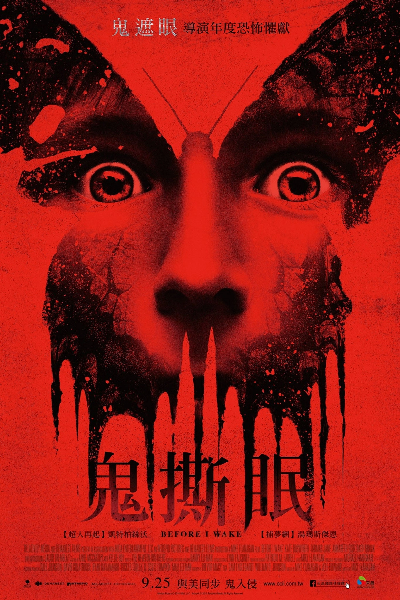 Before I Wake