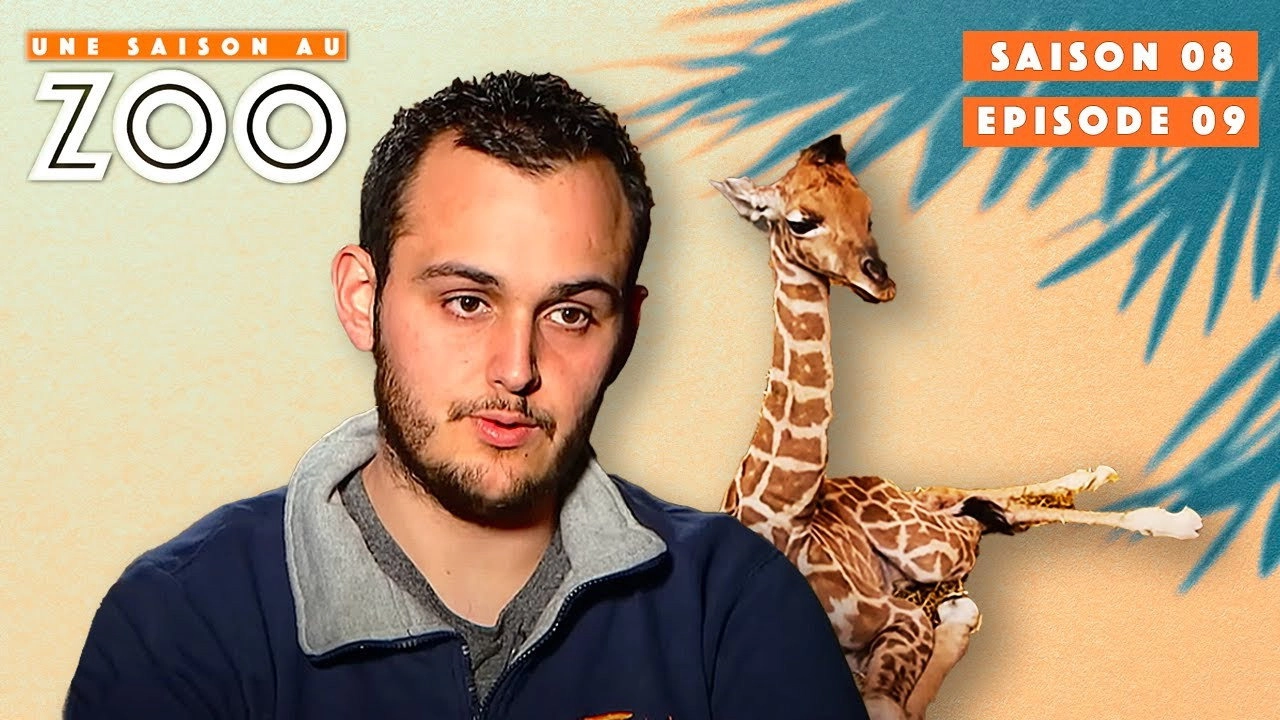Une saison au zoo