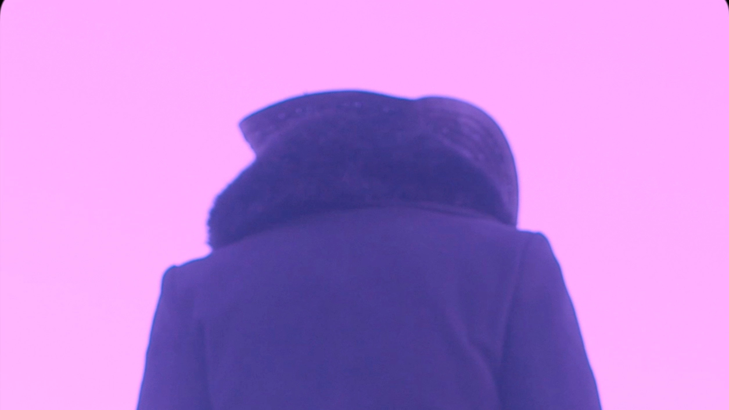 Cold Days From the Treetops