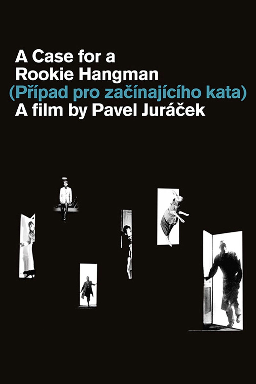 A Case for a Rookie Hangman