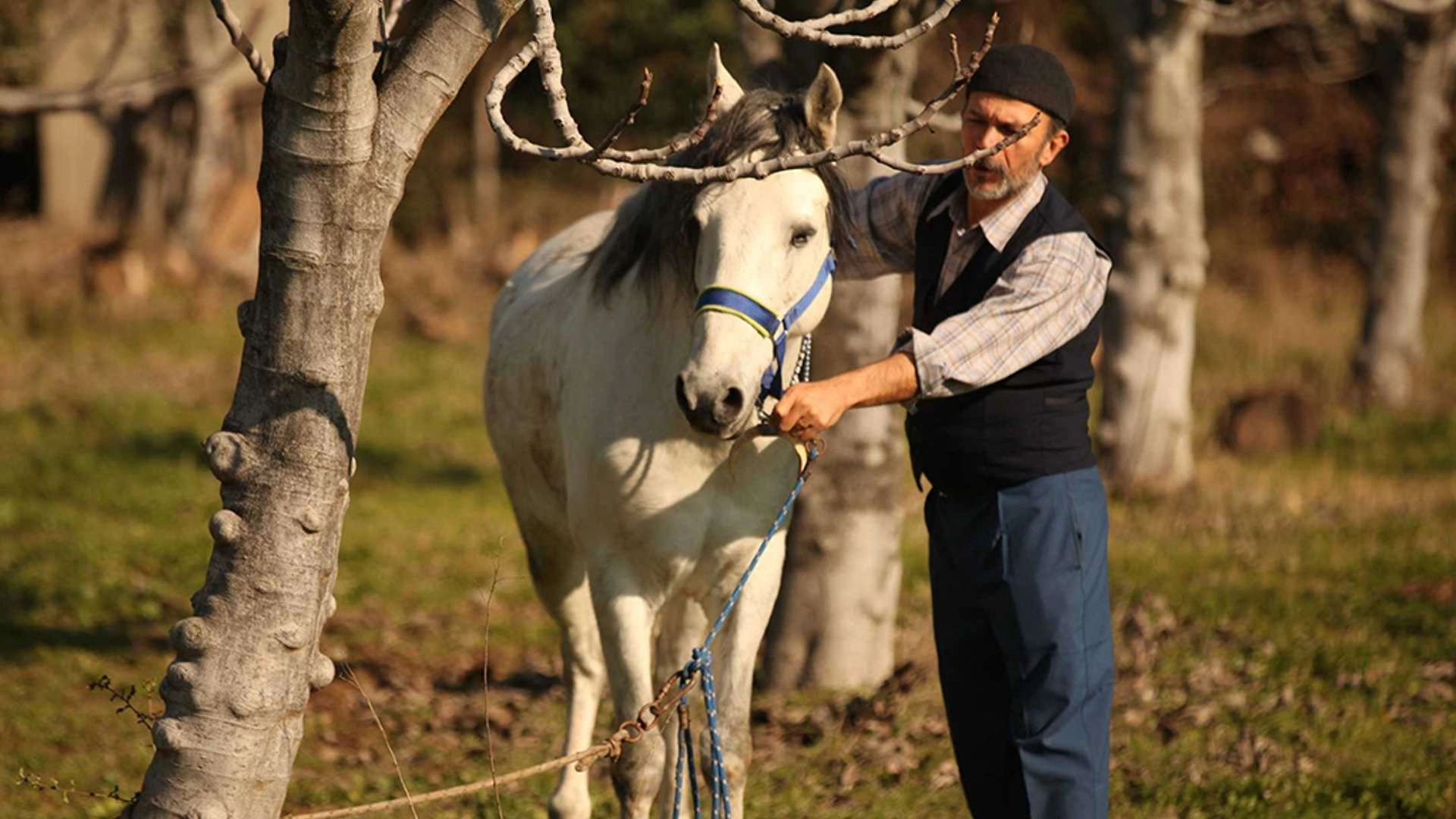 Yeşil Deniz