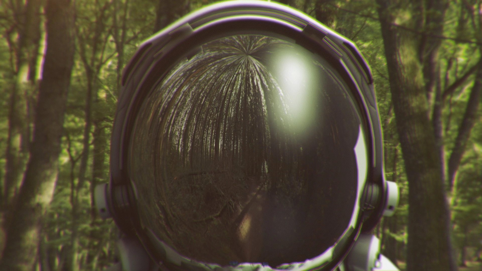 Wood