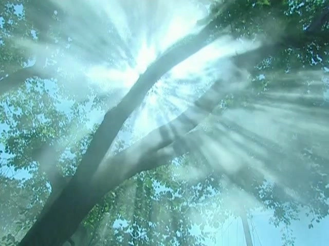 Legend of the Heavenly Stones