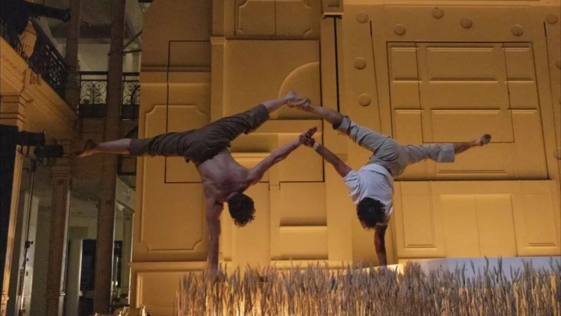 Entre chiens et louves par le Cirque Le Roux au Bon Marché Rive Gauche