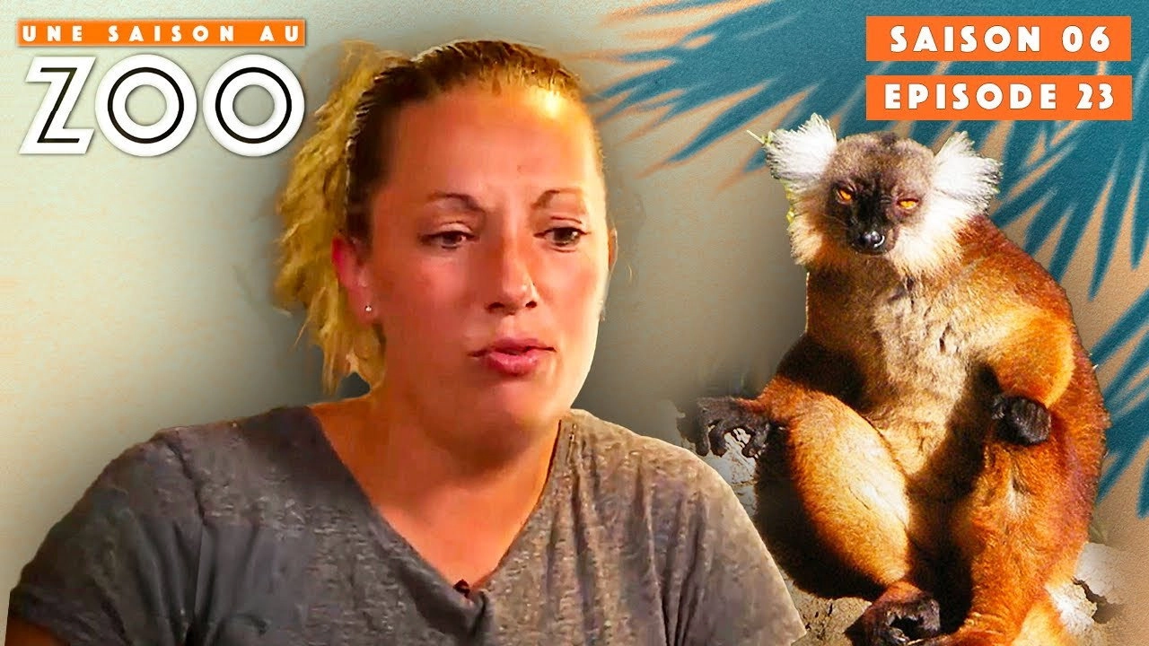 Une saison au zoo