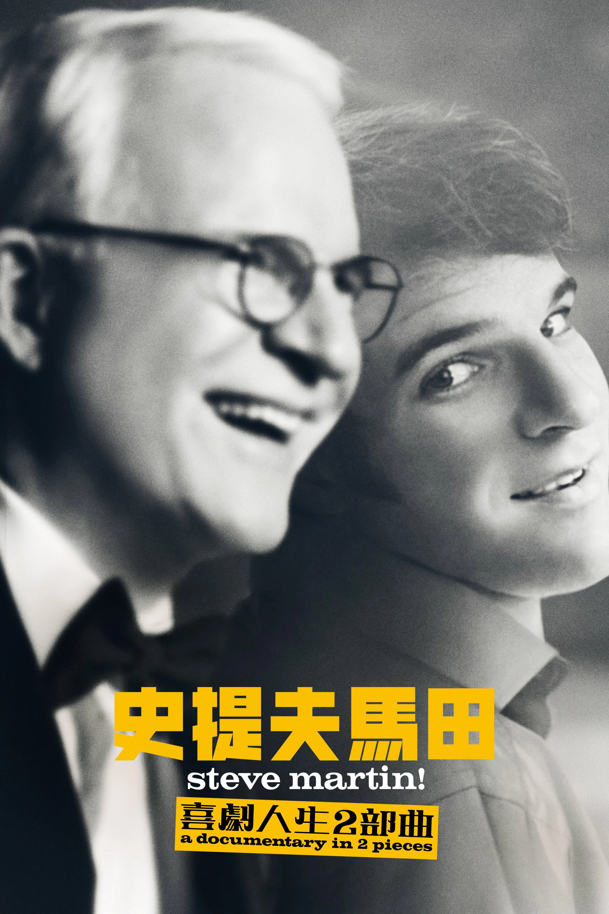 STEVE! (martin) a documentary in 2 pieces