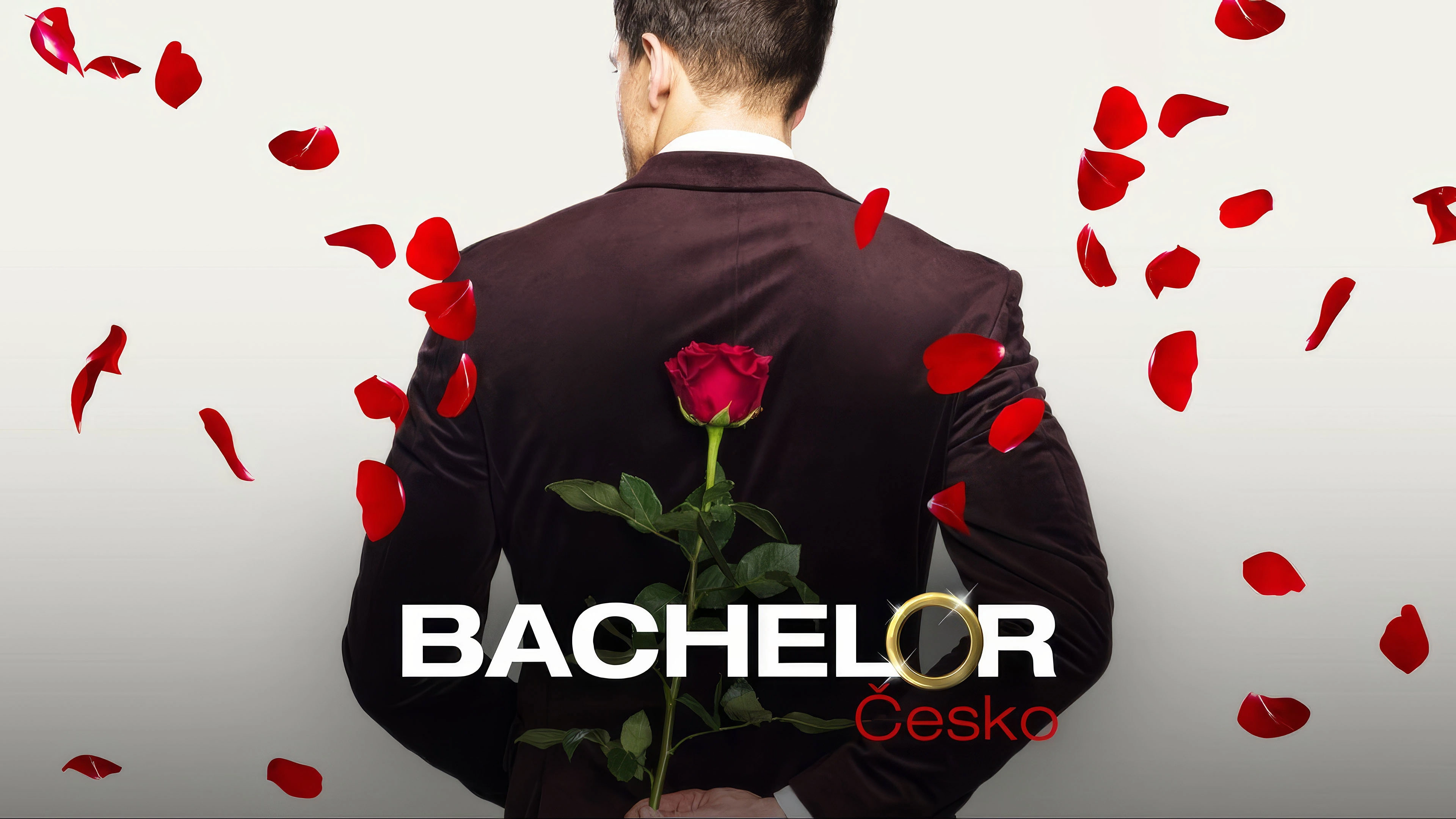 Bachelor Czech Republic