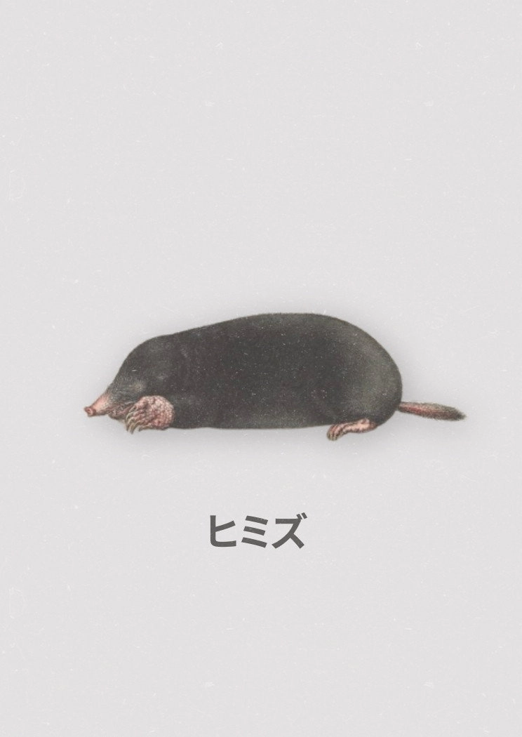 Himizu