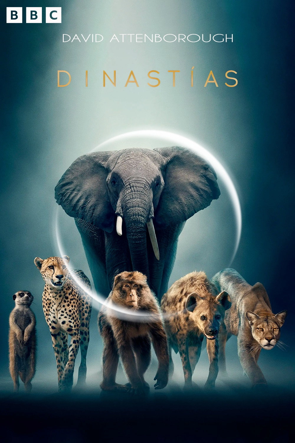 Dynasties