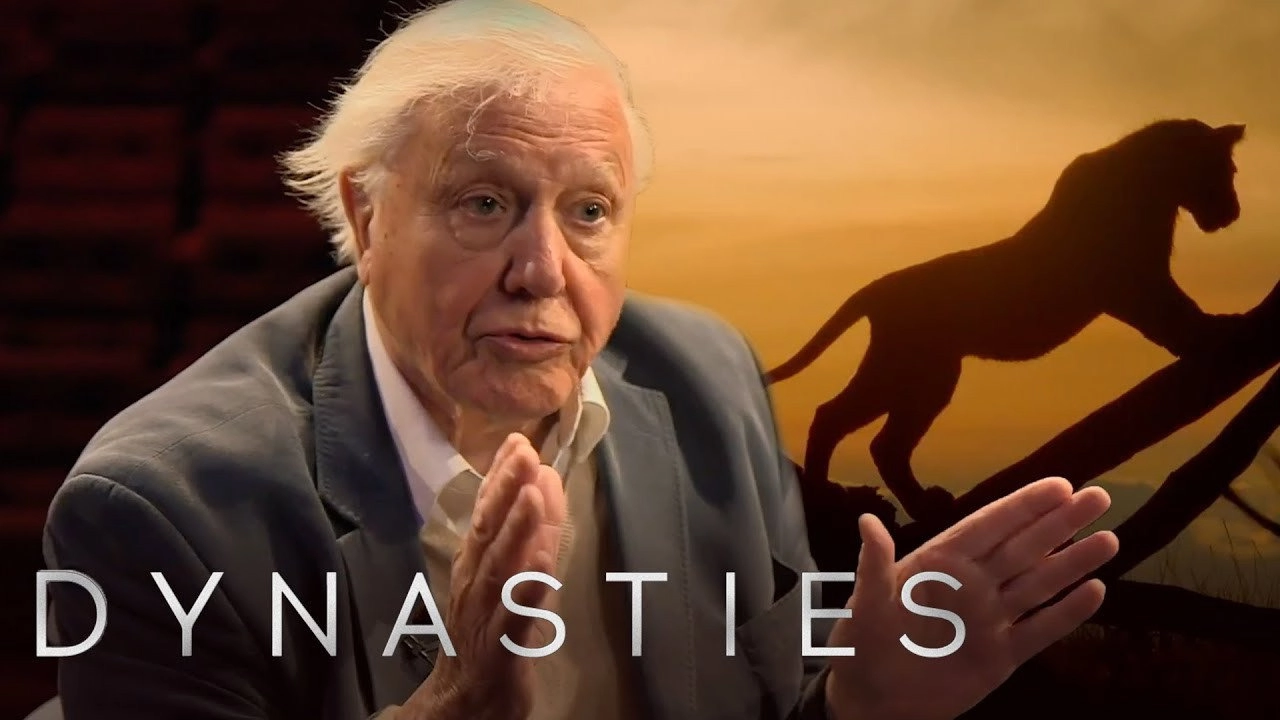 Dynasties