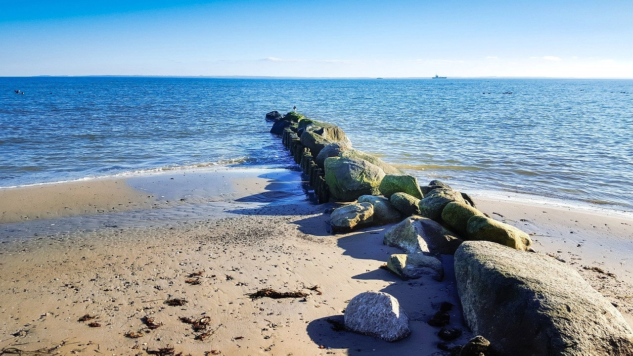 Wild Baltic Sea