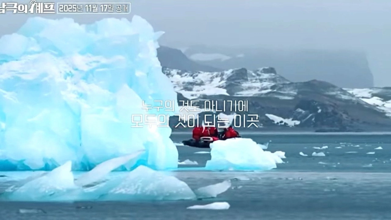Chef of Antarctica