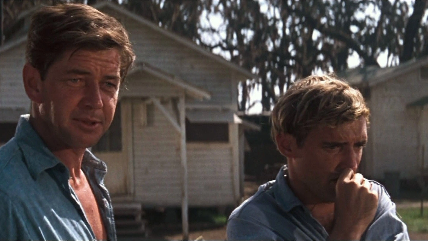 Cool Hand Luke