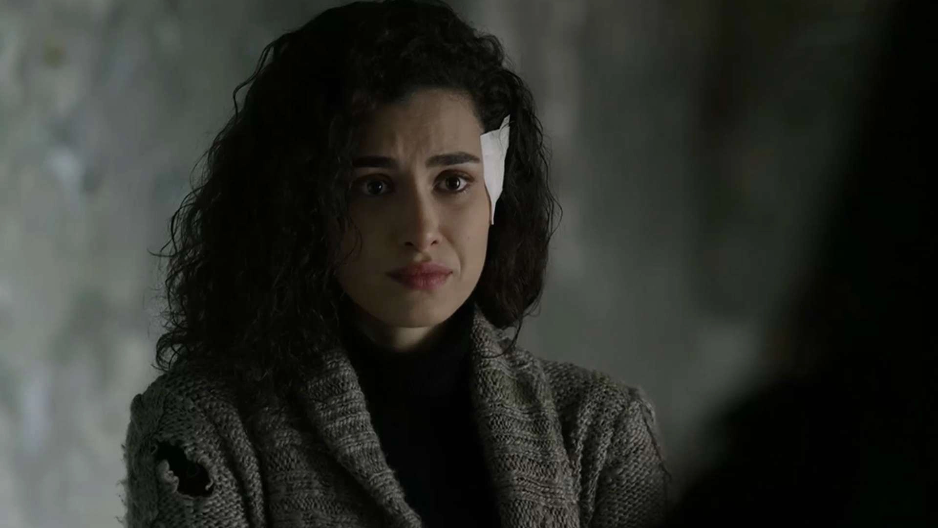 Şubat