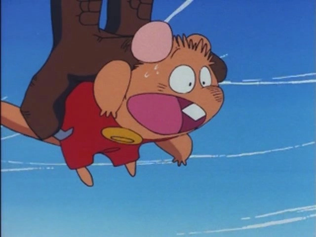 Adventure of Gamba