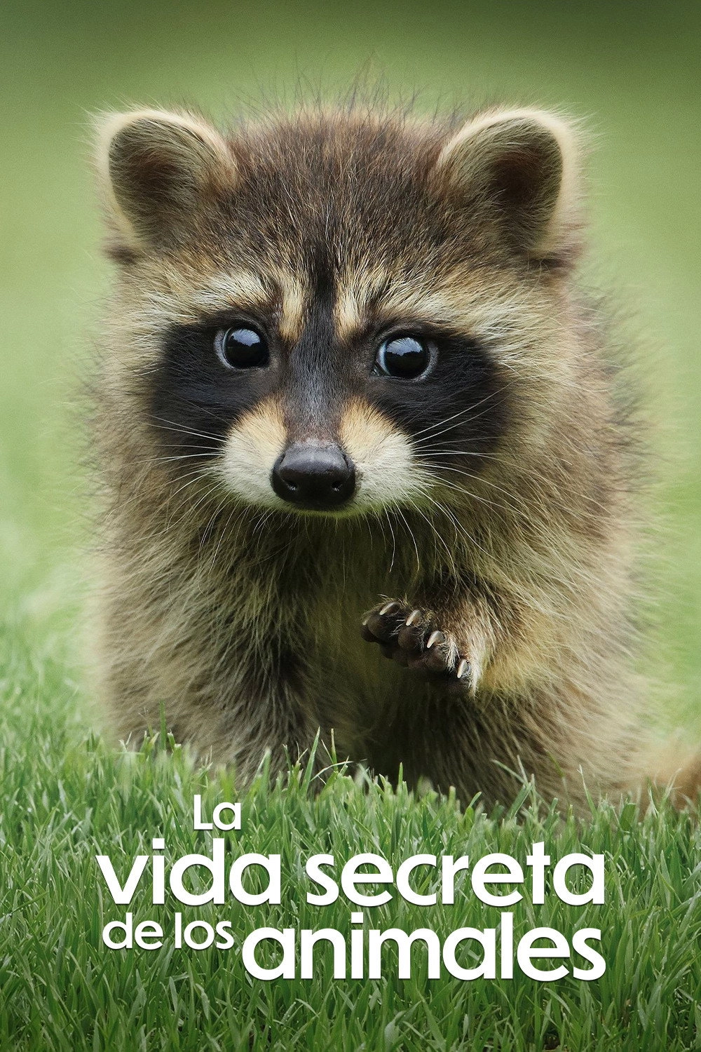The Secret Lives of Animals