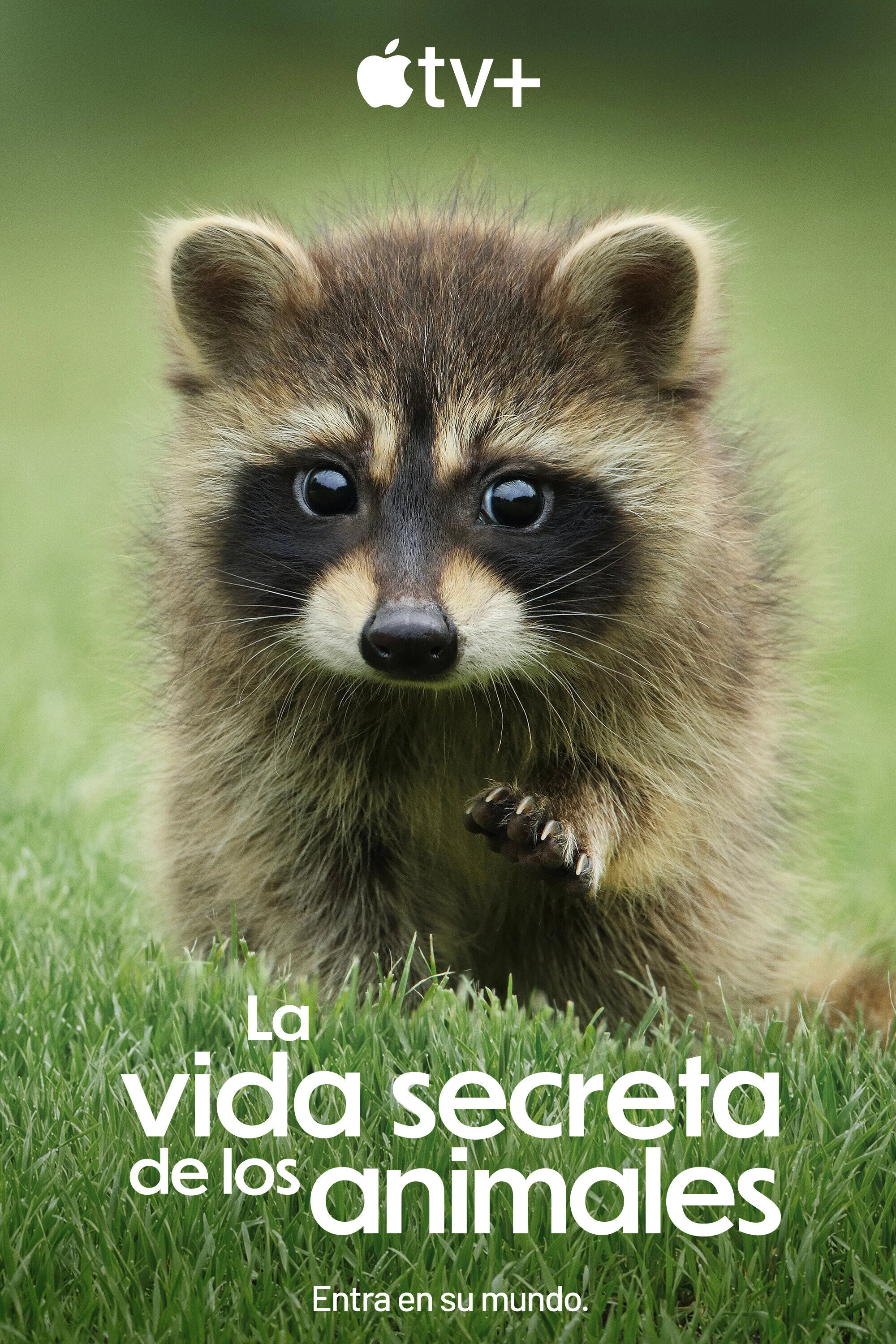 The Secret Lives of Animals