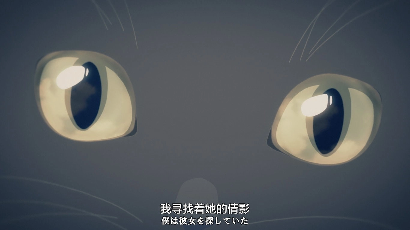 She and Her Cat: Everything Flows