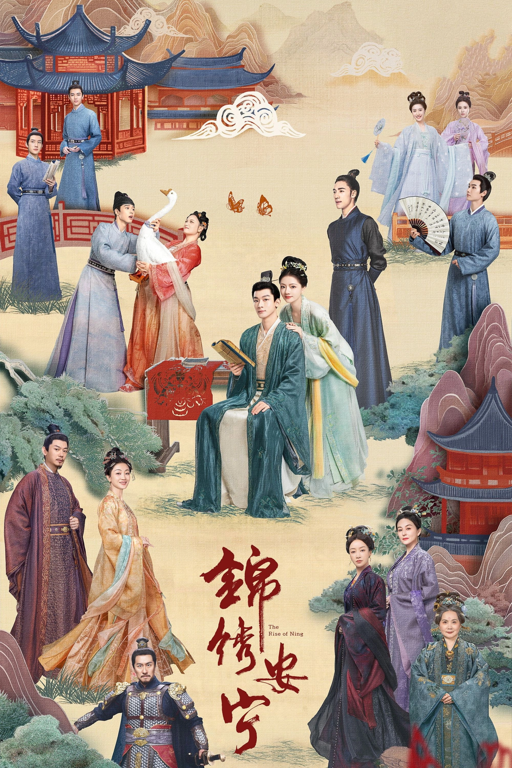 The Rise of Ning