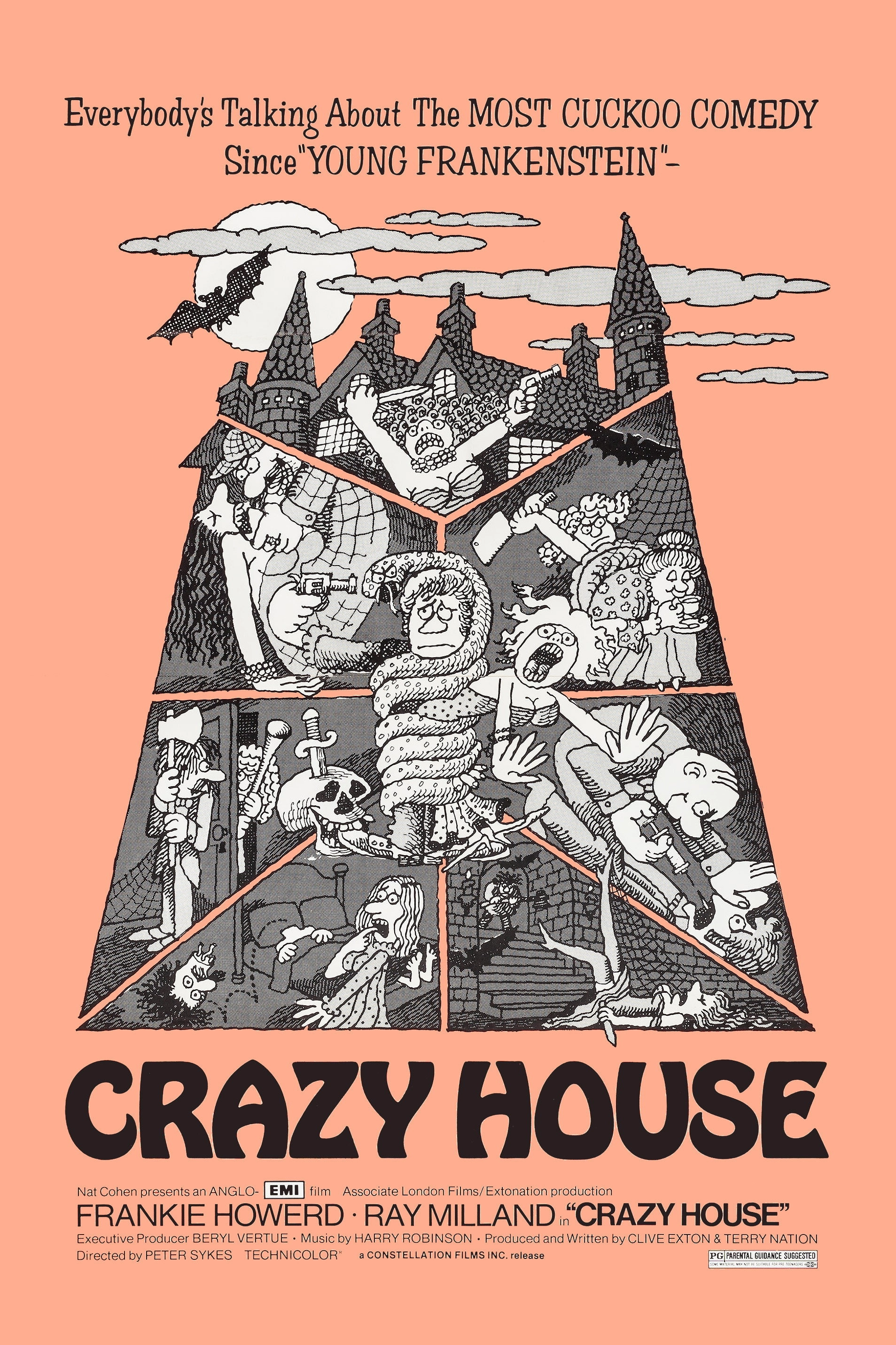 The House in Nightmare Park