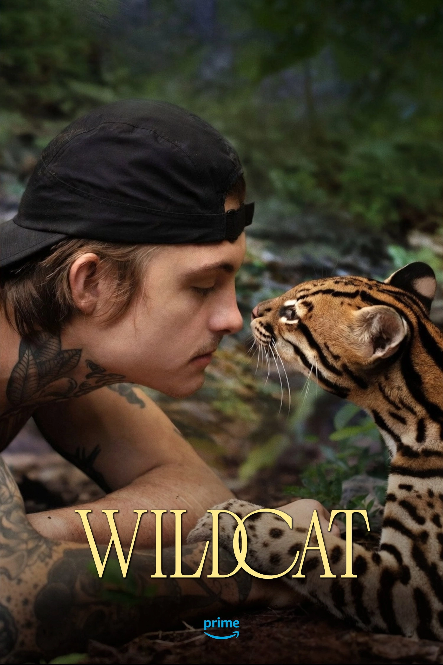 Wildcat