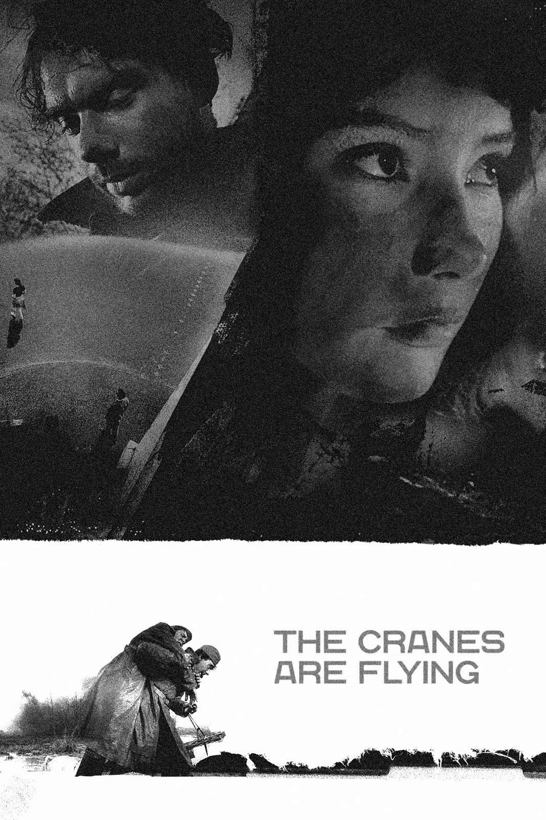 The Cranes Are Flying