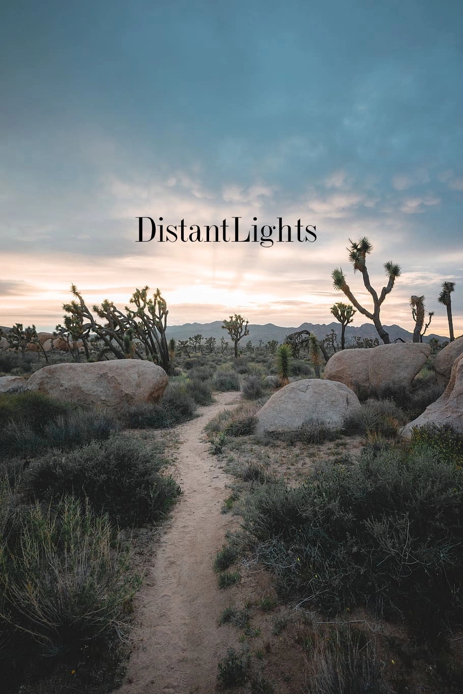 Distant Lights