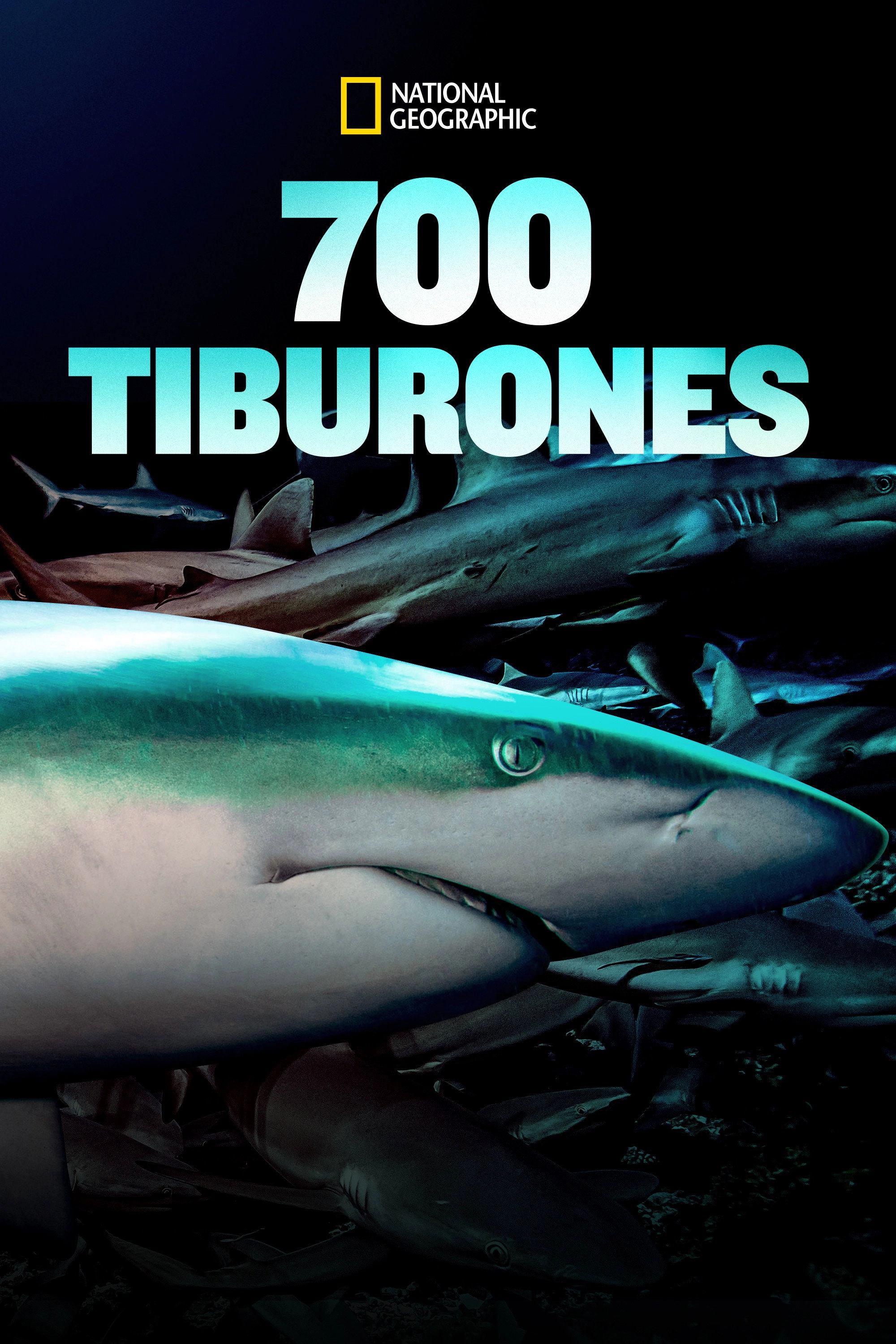 700 Sharks