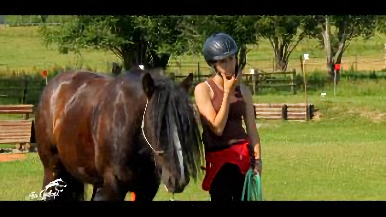 Au galop ! une saison à cheval