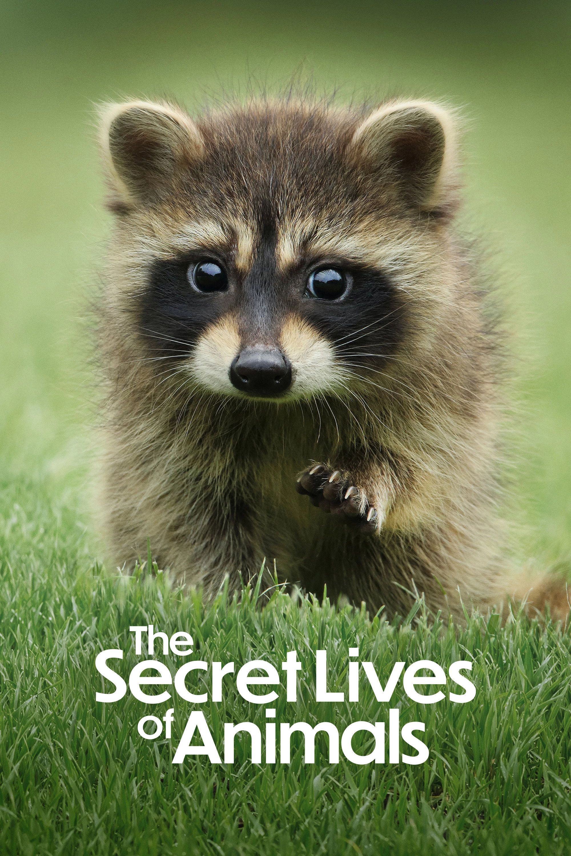 The Secret Lives of Animals