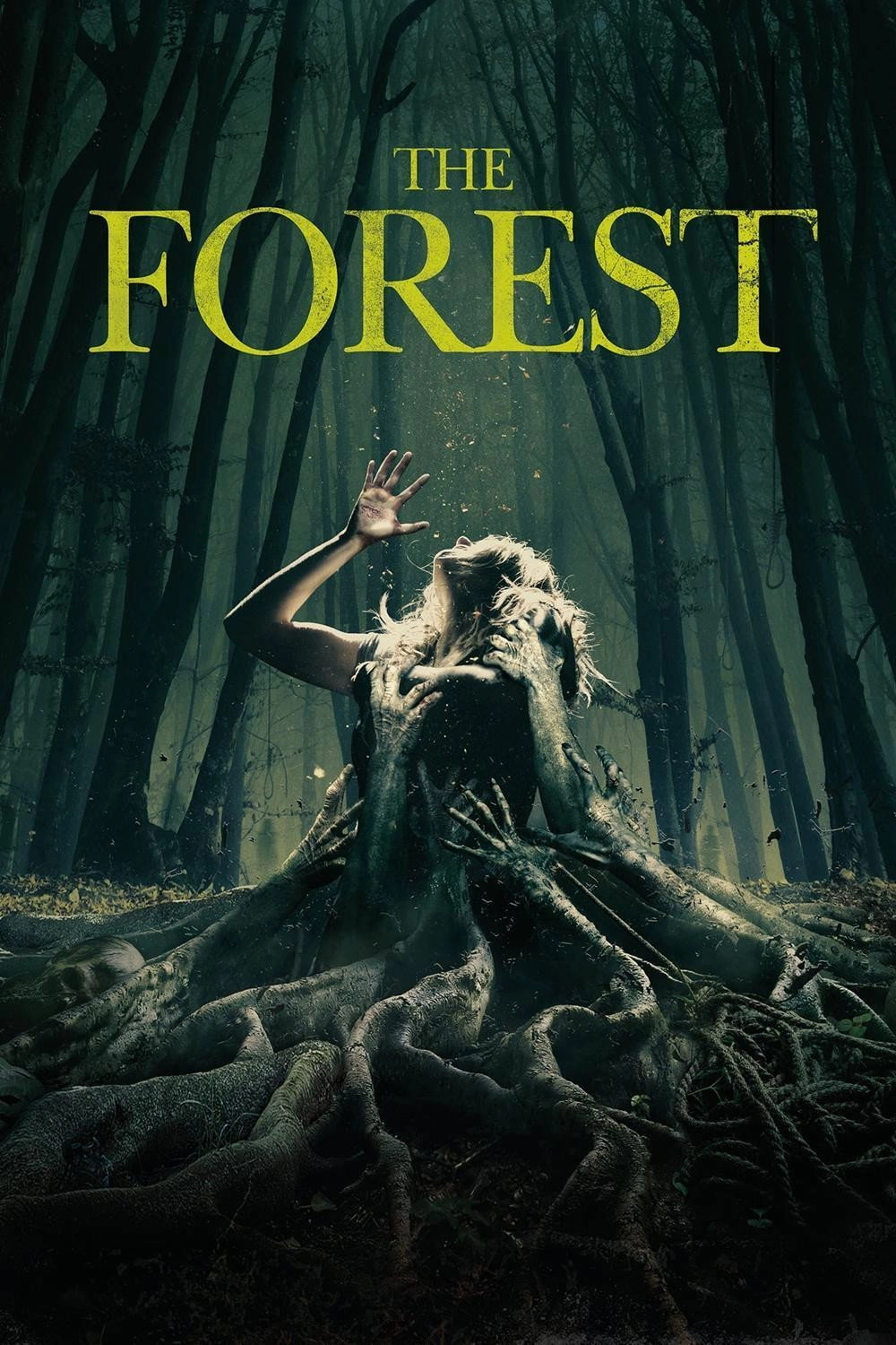 The Forest