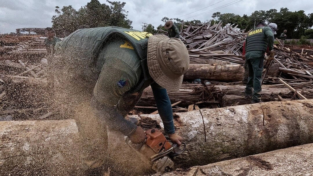 Operação Guerra Verde
