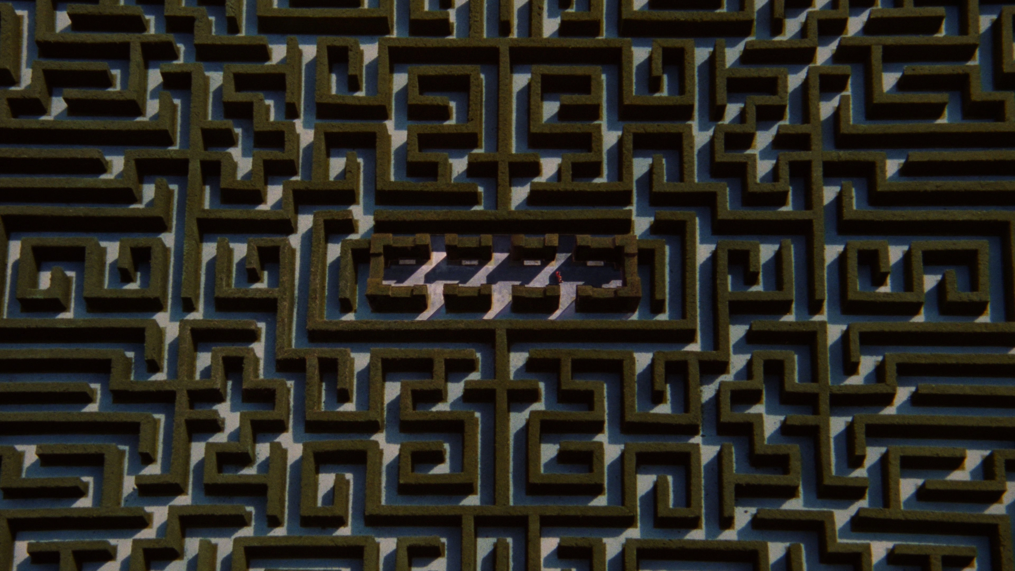 The Shining