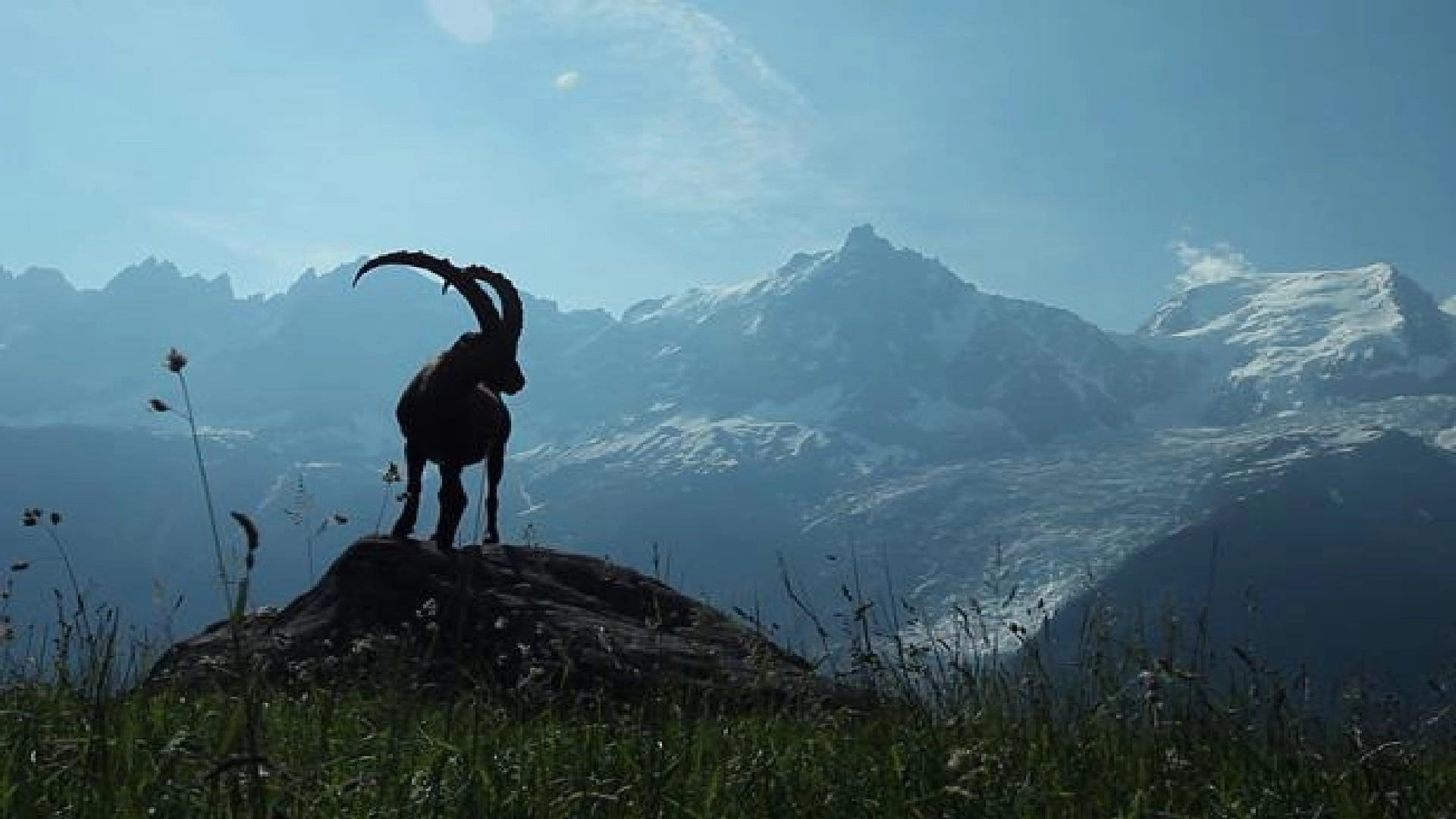 Wild France