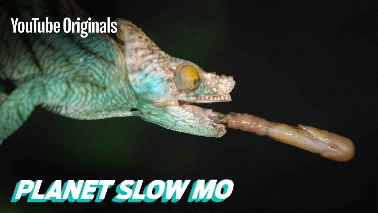 Planet Slow Mo